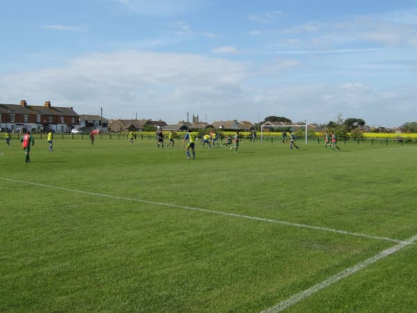 The Lindsey Field